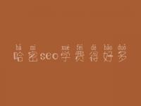 哈密seo学费得好多_服务怎么样