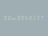 绵阳seo通常费用得多少_价格_服务