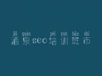 酒泉seo培训班市，seo自学教程视频