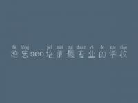 德宏seo培训最专业的学校_网站优化搜索引擎优化