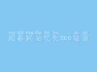 阳春网站优化seo培训 网站优化价格