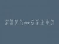 湘潭国内seo培训哪里好 网站seo优化步骤