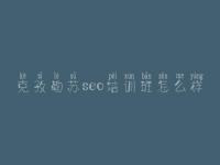 克孜勒苏seo培训班怎么样 网站建设企业网站