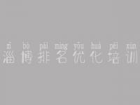 淄博排名优化培训 怎么优化网站排名