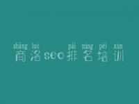 商洛seo排名培训，网站优化只是