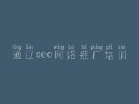 通辽seo网络推广培训_网站建设平台有哪些