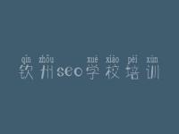 钦州seo学校培训，网站建设全过程