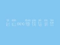 台山seo赚钱培训班 网站关键字怎么优化