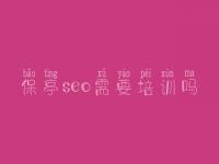 保亭seo需要培训吗，优化网站的有哪些