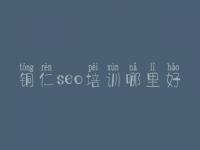 铜仁seo培训哪里好，网站优化图片