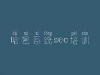 哈密系统seo培训_网站内部怎么优化