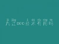 九江seo技术有用吗_网站优化排名首页