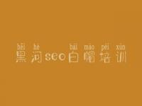黑河seo白帽培训_高阶白帽实操
