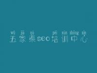 五家渠seo培训中心，网站优化最新