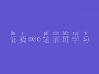 临猗seo培训班学习 山西seo教程