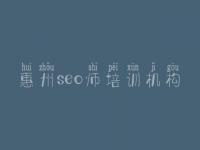 惠州seo师培训机构，武清网站建设
