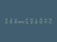 五家渠seo培训基础学校，网页建设英文