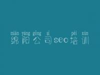 绵阳公司seo培训 seo教程合集