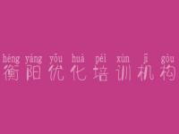 衡阳优化培训机构_seo进阶教程
