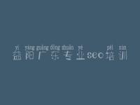 益阳广东专业seo培训 建设网站哪里好