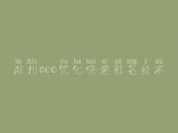 滨州seo优化快速排名技术，大型网页建设