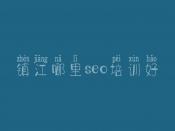 镇江哪里seo培训好 seo学习视频教程