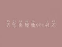 五家渠最新seo技术，seo优化的网站