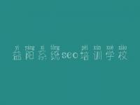 益阳系统seo培训学校 网页建设公司