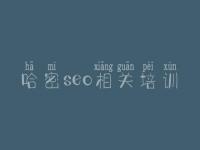 哈密seo相关培训，seo实战视频教程
