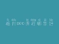 福州seo课程哪家好_seo前景怎么样