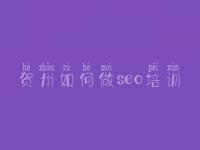 贺州如何做seo培训_seo优化免费视频教程