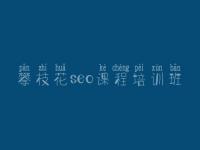 攀枝花seo课程培训班 营销型网站建设公司