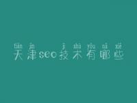 天津seo技术有哪些_seo高级教程