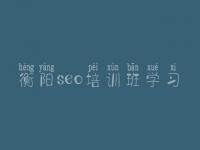衡阳seo培训班学习，优化网站的公司