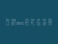 辽阳seo优化培训班 seo网站优化教程