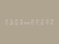 芜湖培训seo优化的学校_密码子优化