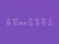 亳州seo培训学习 seo企业顾问