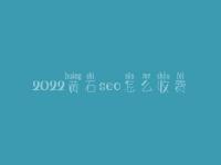 2022黄石seo怎么收费_地址_电话