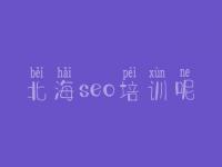 北海seo培训呢 便宜的网站建设