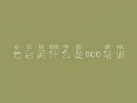 七台河什么是seo培训 网页建设开发
