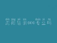 沈阳培训seo专业吗_seo教程书