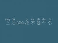 上海seo技术是什么 网络推广seo优化公司