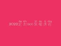 2022定州seo黑帽课程_一流黑帽实操