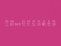 辽阳seo优化培训哪家好 seo优化排名教程