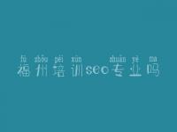 福州培训seo专业吗 可靠的网站建设