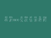 株洲seo实战培训费用，seo优化基础视频教程