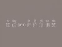 铁岭seo进阶培训班 seo排名优化公司