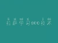 拉萨学习seo技术_网站建网站建设网站