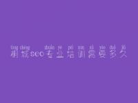桐城seo专业培训需要多久_菜鸟教程seo
