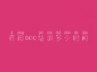 资阳seo培训多少时间，网站建设哪里好
